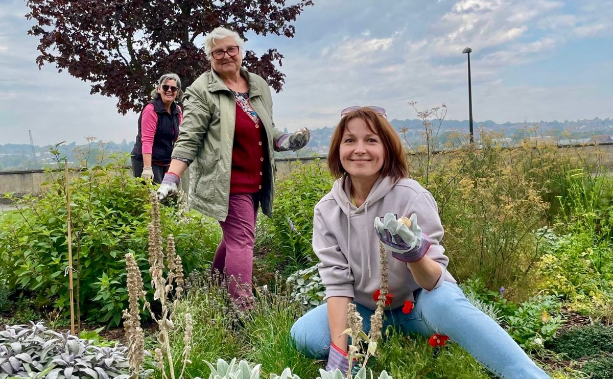 Three volunteers work in the Suffrage Sensory Garden