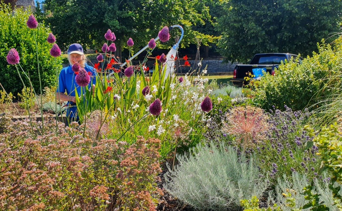 One of our volunteers watering a lush and verdant looking area of the Sensory Garden