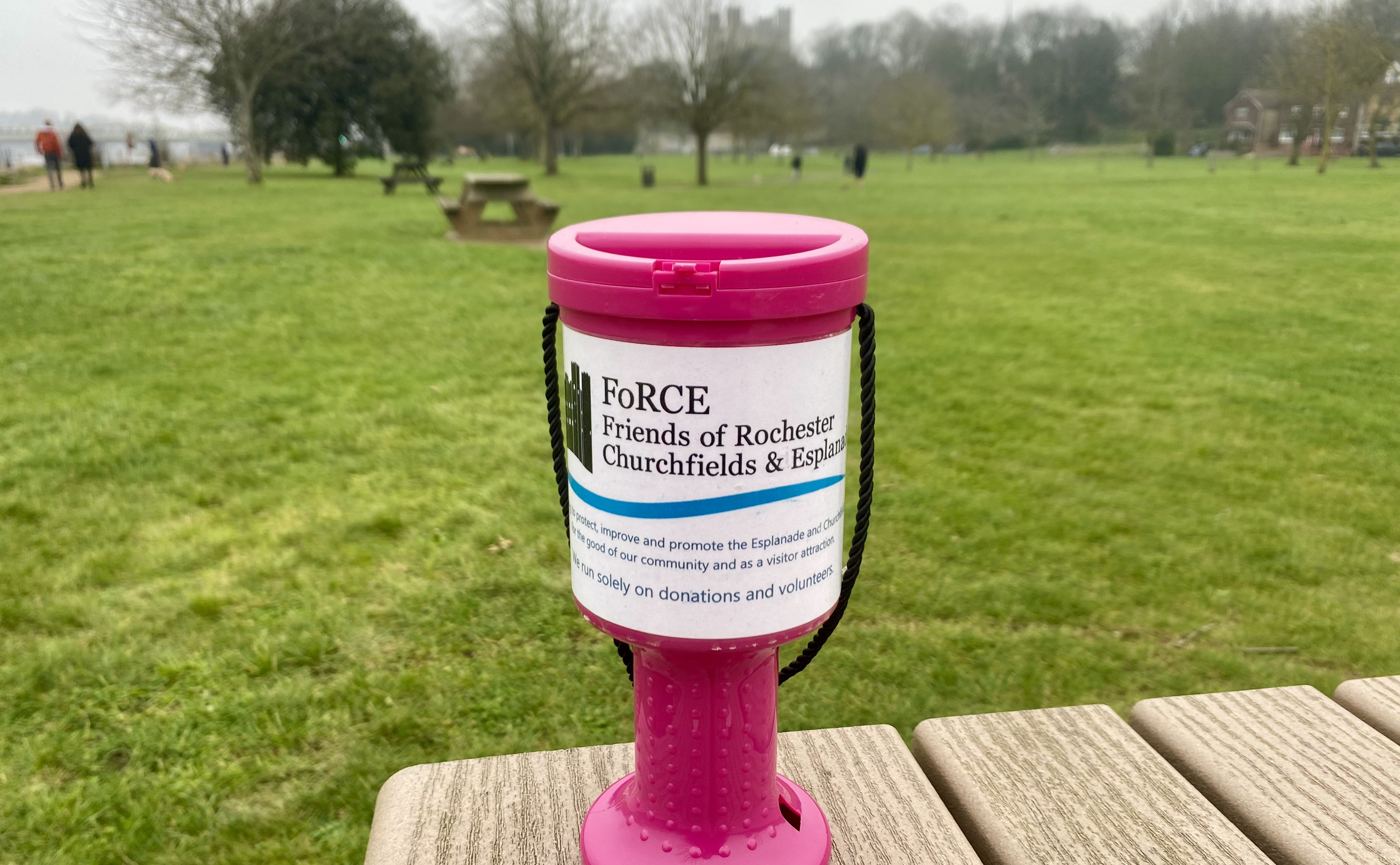 A pink FoRCE donation collection pot on a bench in the Esplanade Gardens