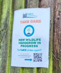 A sign indicating the planting of a new hedgerow in Esplanade Garders