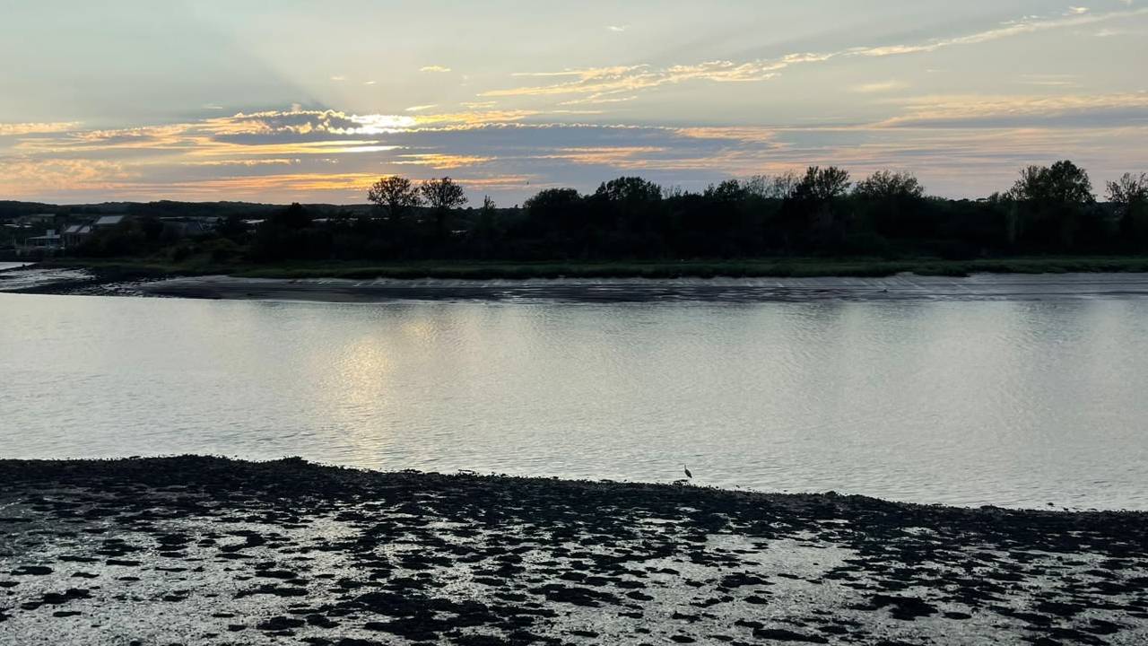 A view of the river at sunset, with the setting sun appearing red behind the clouds, and a heron looking for supper at the water's edge