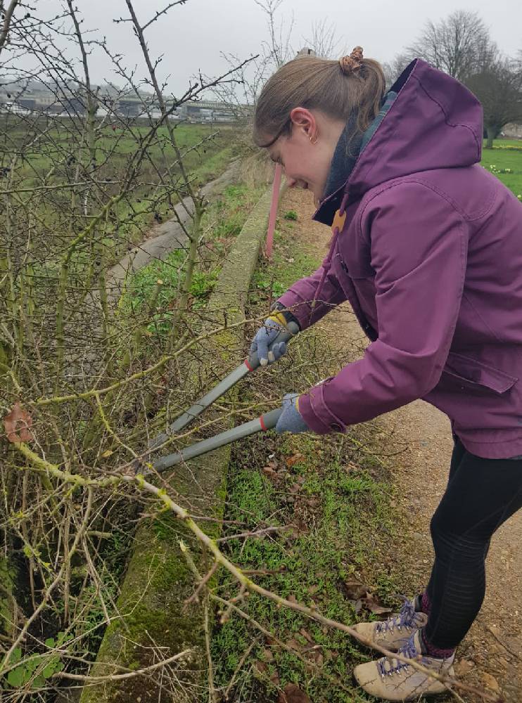 A volunteer works on removing problematic plant growth from the sea wall