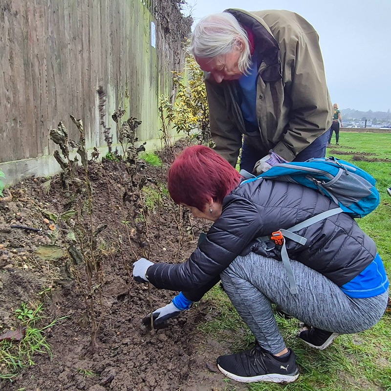 FoRCE Volunteers planting a whip
