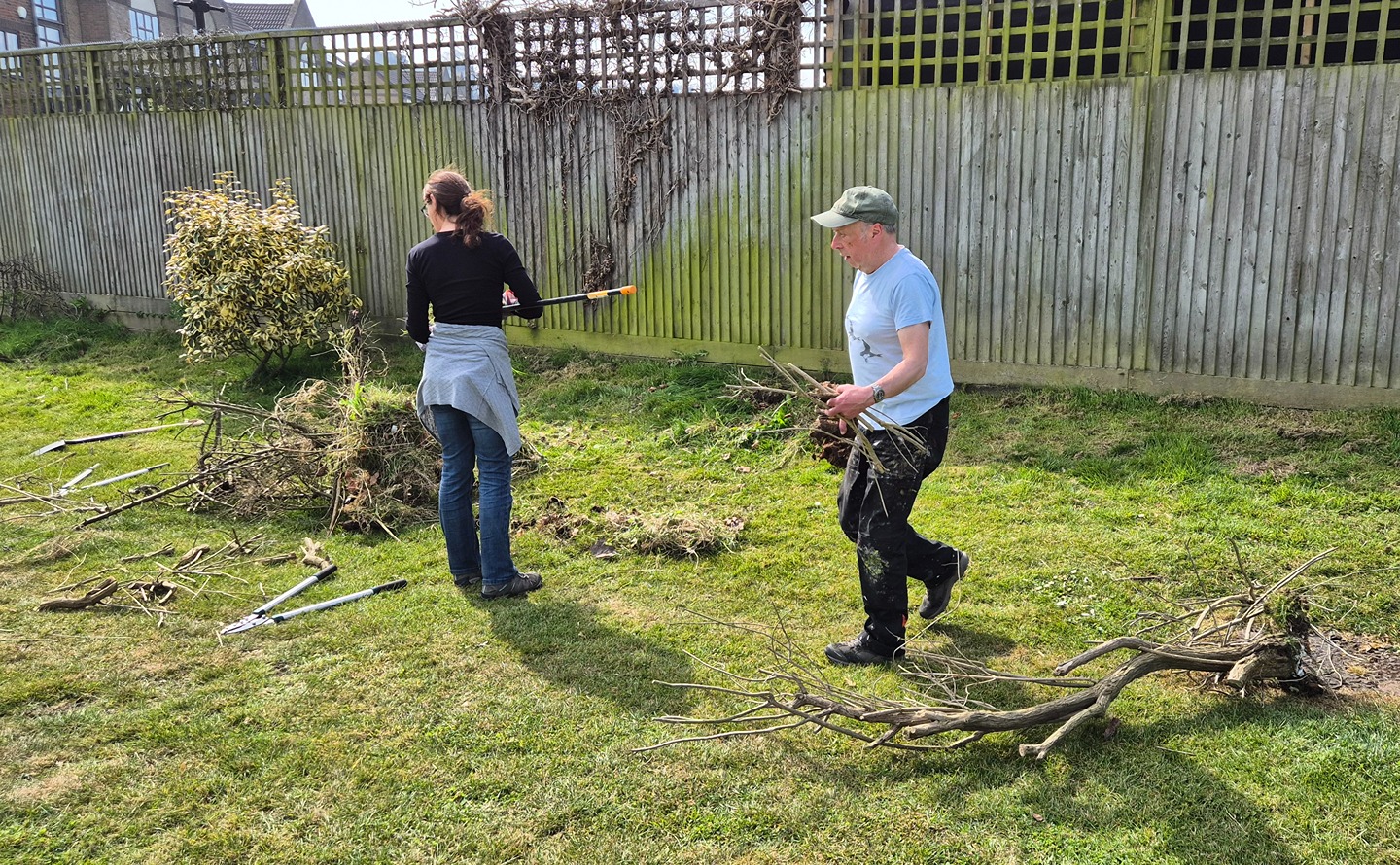 FoRCE volunteers start work on our hedgerows project, clearing dead shrubs from the fence by Hathaway Court